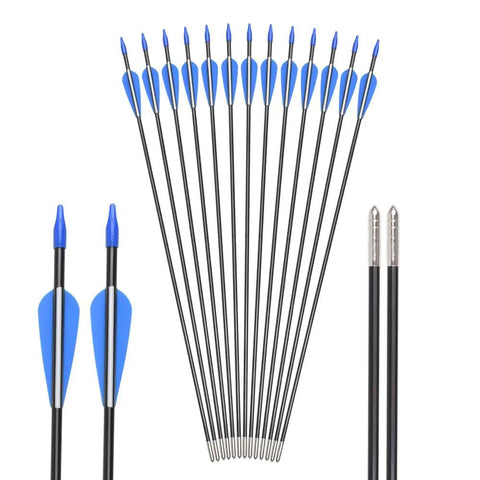 Recurve Bow Arrows 26 Inch Fiberglass Arrow Set With Blue And White Vanes For Target Practice Safety Glass For Youth Beginners Gals 12 Pack Great For Target Practice At The Range