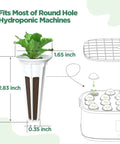 Hydroponic seed pod insert dimensions with growing lettuce fits round-hole machines; part of All In One Hydroponic Seed Pod Kit.