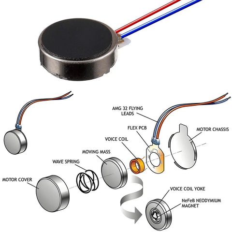 Flat Coin Vibration Motors 25 Pack Mini 10mm x 2.7mm DC 3V 12000 RPM Button Type Micro Vibe Motors exploded view diagram