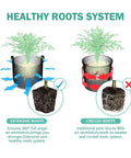 Comparison of extensive and circled root systems for 3.25 Inch Seed Starter Pots Set Of 30 Eco Friendly Biodegradable Peat Pots