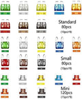 Must Have DIY Friendly Auto Repair Fuse Kit 282 Pieces Blade Standard Mini Low Profile Fuses Zinc displayed by size and color coding