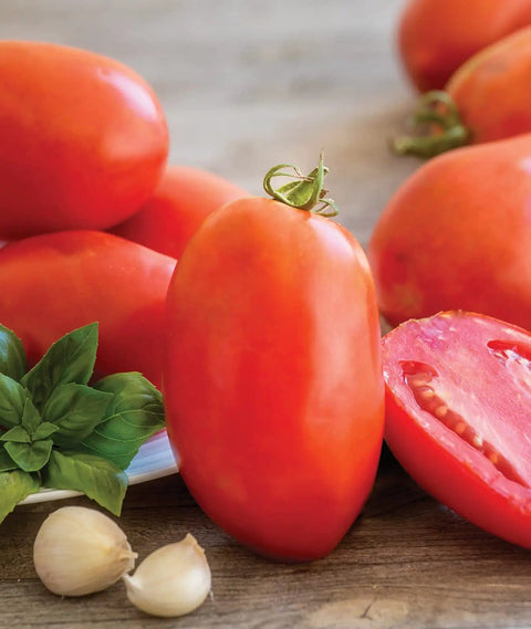 Gladiator Hybrid Red Tomato Seeds For Home Garden Non GMO Indeterminate Slicing And Paste Tomatoes on a wooden surface with herbs and garlic