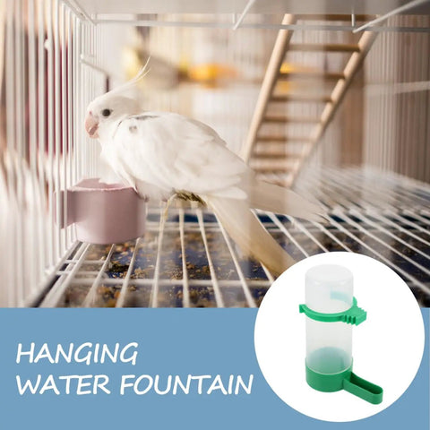 No Mess 4 Pack Automatic Bird Water Feeder And Food Dispenser Clip On Cage Hydration Kit For Parrots Parakeets Cockatiels Budgies Easy Clean Always Fresh Winged Friends with parakeet using water dispenser.