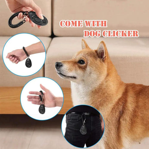 All In One Dog Agility Training Equipment Set For Small Medium And Large Dogs Obstacle Course Kit with dog clicker