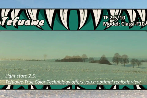 Killer Auto Darkening Welding Lens Fits Classic Two By Four One Quarter Frames With Shade Ten Ultra Clear Cool Blue Optics view in snowy landscape.