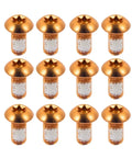 12 Pcs Bicycle Disc Brake Bolts 6 Bolt M5x10mm Stainless Steel Orange Finish Beefy Rotor Bolts for Mountain Bikes