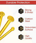 Heavy Duty Assorted Galvanized Steel Nails Kit Including Seven Hundred Gold Pieces With Solid High Carbon Build And Multi Size Finishing Options Perfect For Easy Picture Hanging And No Fuss Handiwork That Delivers A Top Shelf Setup Every Time showing golden nails with strong heads and galvanized surface.