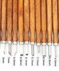 12-piece Wood Carving Chisel Kit For Beginners With Imitation Mahogany Handles showing various tip sizes and shapes, top view