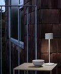 Go Anywhere Mobile LED Satellite Light With Built In Battery Portable Indoor Outdoor Lamp For Romantic Ambience on patio table