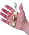 Crisp Chrome Vanadium Steel Pocket Knife With Amber Jigged Bone Handles, Spear And Pen Blades, 3 5/8 Inch Closed Length displayed in hand.