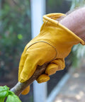 Heavy Duty Leather Work Gloves for Men and Women, Yellow X Large 3 Pack, gripping a branch, showing premium cowhide grip in garden