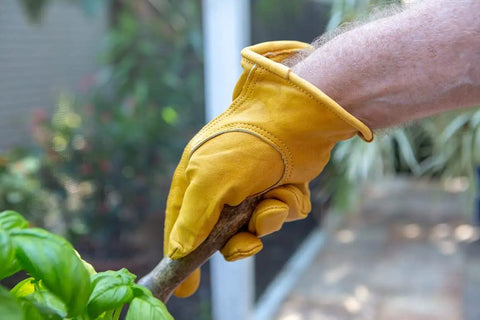 Heavy Duty Leather Work Gloves for Men and Women, Yellow X Large 3 Pack, gripping a branch, showing premium cowhide grip in garden