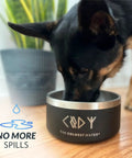 Triple Wall Insulated Stainless Steel Dog Bowl Keeping Fridge Cold Hydration All Day Long Tough As Nails Spill Proof Pet Feeder With Non Slip Base Easy Care Dishwasher Safe 42 Oz Stealth Black For Dogs And Cats with dog drinking