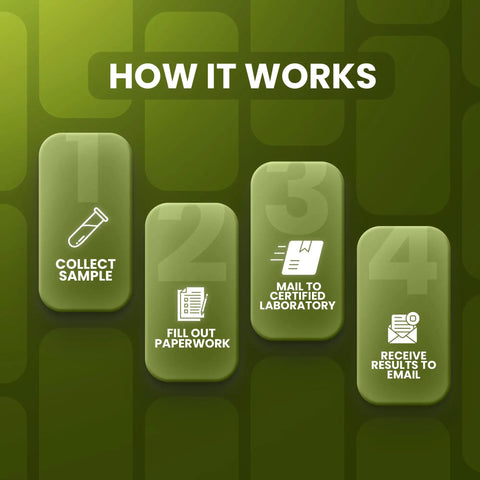 Steps showing how to use Mold Test Kit With Lab Fees Included No Surprises For Home Use Detects 20 Plus Mold Types And Pollen