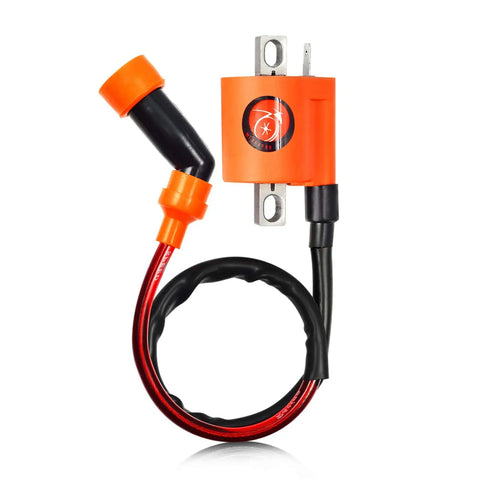 Igniter CDI Box And Ignition Coil For Timberwolf 250 ATV 4x4 1994-2000 Bear Tracker 250 YFM250 1999-2000 replacement parts