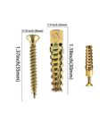 Dimensions of Beefy Hollow Wall Anchors With Screws Kit For Stripped Holes And Loose Hinges Strong Metal Fasteners Set