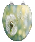 Elongated Dandelion clock morning sun Toilet Seat with soft-close hinge, featuring a detailed dandelion design in soft colors.