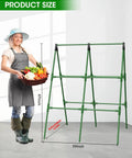 Two Pack A Frame Cucumber Trellis Garden Trellis For Climbing Plants Outdoor Raised Bed Plant Grow Support For Tomato Squash Vegetable And Flower 33 By 47 Inches Each shown with size dimensions and a garden worker.