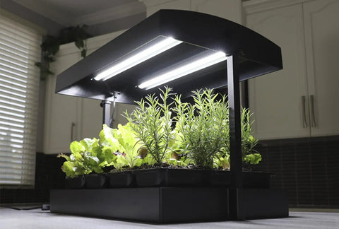 All In One Indoor Garden Kit With Dual T5HO Grow Lights And NanoTech Reflectors Auto Watering Mat Heavy Duty Base in kitchen