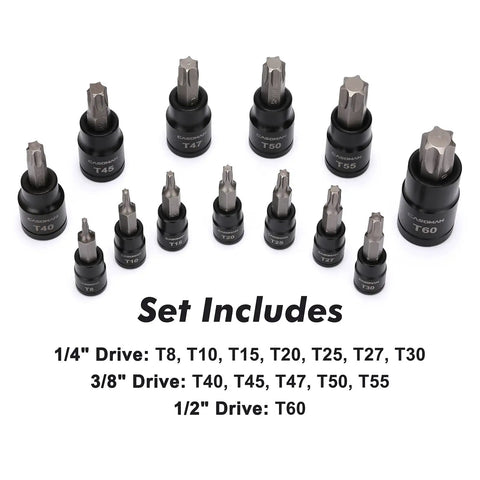 Heavy Duty Torx Bit Socket Set With 25 Pieces And External Sockets, Thirteen Star Bits T8 To T60 shown in three drive sizes.