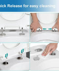 Modern Gray D Shaped Toilet Seat Featuring Soft Close Lids And No Fuss Quick Release Design Fits Standard Oval Pans smooth locking removal process