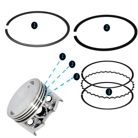 TRX300FW Cylinder Kit Air Cooled Compatible With Honda Fourtrax 300 1988 2000 with piston ring set components shown