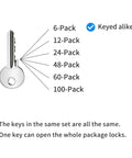 Diagram of keyed alike options for padlock sets from 6-Pack to 100-Pack with a single key depicted.