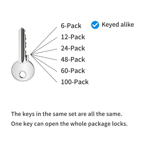 Diagram of keyed alike options for padlock sets from 6-Pack to 100-Pack with a single key depicted.