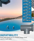 Stainless steel tension spring and gray PVC check valve body for Pentair Ortega compatibility
