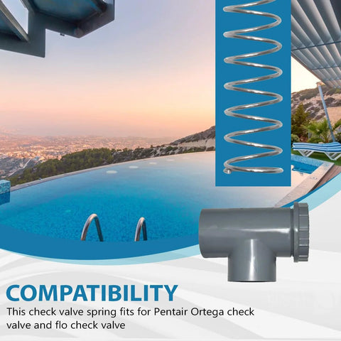 Stainless steel tension spring and gray PVC check valve body for Pentair Ortega compatibility