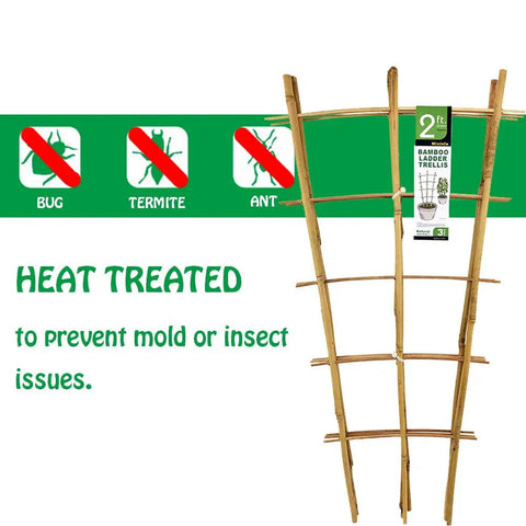 Sturdy Bamboo Garden Trellis Set Of 3, 24 Inch Tall Ladder Style Plant Support for Climbing Vines with heat-treated bamboo