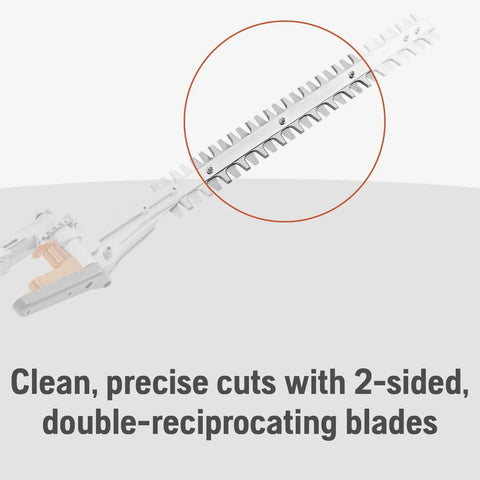 Gas Hedge Trimmer With 21-Inch Cutter Bar, Double-Sided Reciprocating Blades, close-up of cutting section, focus on blade design.