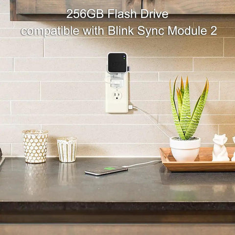 256GB USB Flash Drive With Outlet Wall Mount For Sync Module 2 in kitchen setup