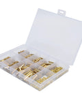 350 Piece M2 Screw Kit With Hex Bits And Brass Nuts All In One Fastener Set For PC Builds And Laptop SSD Install Durable Copper And Stainless Steel Hardware 10 Tools Included Versatile Heavy Duty in 10-compartment case