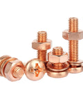 Cross Head Screws And Nuts Kit M3x16mm With Flat And Spring Washers SS304 Stainless Steel Hex Socket Drive Indoor Outdoor Use High Torque Transfer Durable Hardware Set For Quick Secure Assemblies, copper-colored screws and nuts