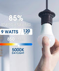 Person holding A19 LED Bulb 9W Equivalent 60W Daylight 5000K 850 Lumen E26 Base 120V Dimmable Energy Saving Light Bulb