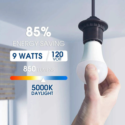 Person holding A19 LED Bulb 9W Equivalent 60W Daylight 5000K 850 Lumen E26 Base 120V Dimmable Energy Saving Light Bulb