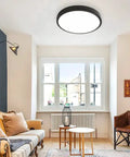 12 Inch Metal Black Sleek LED Flush Mount Ceiling Light, Low Profile Round Fixture With Flat Pane Surface in living room