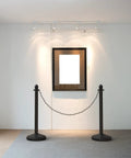 Interior scene with black plastic stanchions and chain in front of a framed display, simple gallery setup.