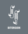 Graphic illustration of bitorsion design related to Diamond Bit Set With Thirty Diamond Bits And One Bit Assortment For Drill Drivers.