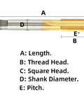M10 X 1.5 HSS Ti-Coated Straight Flute Thread Tap Right Hand Pro Grade Tool 80 mm Thread Head with dimensions labeled