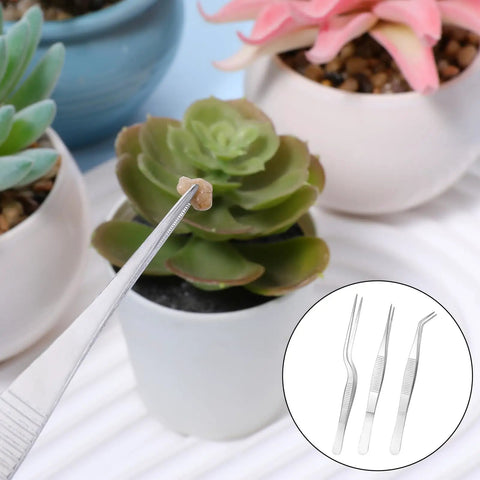 Pro Grade Garden Tweezers Set Of 3 Stainless Steel Plant Tweezers With Straight And Curved Tips, Dope Precision Bonsai Tools For Indoor Outdoor Gardening, Kitchen And More, 6.22In, 6.33In, 6.4In, stainless steel curved tip tweezer lifting succulent