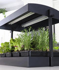All In One Indoor Garden Kit With Dual T5HO Grow Lights And NanoTech Reflectors Auto Watering Mat Heavy Duty Base Raised Platform