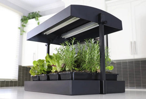 All In One Indoor Garden Kit With Dual T5HO Grow Lights And NanoTech Reflectors Auto Watering Mat Heavy Duty Base Raised Platform