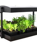 All In One Indoor Garden Kit With Dual T5HO Grow Lights And NanoTech Reflectors Auto Watering Mat with seedlings