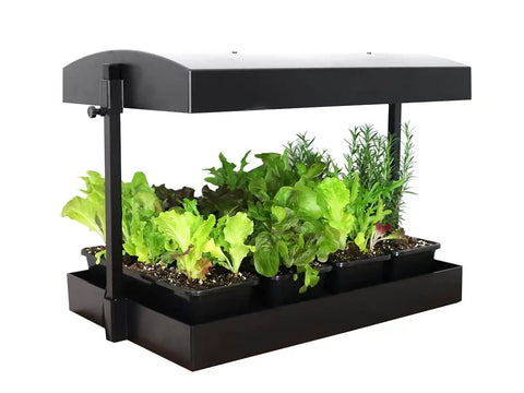 All In One Indoor Garden Kit With Dual T5HO Grow Lights And NanoTech Reflectors Auto Watering Mat with seedlings