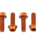 Precision Anodized Water Bottle Cage Bolts 4 Pack Orange Made From 7075 T6 Aluminum, 4 M5x15mm bolts visible
