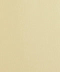 DIY Leather Repair Patch Tape Kit Self Adhesive 3 By 55 Inch Patches in Beige, textured surface close-up.
