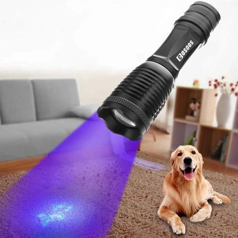 Two Pack UV Flashlight Blacklight 395nm 2 In 1 LED Tactical Flashlight And Pet Urine Detector illuminating pet stain