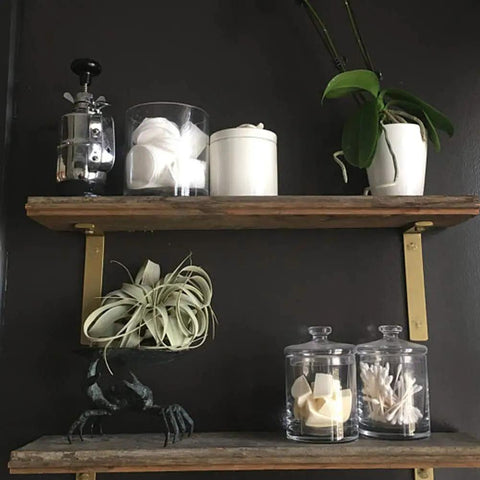 12 Inch L Shelf Brackets Set of 4 Heavy Duty Metal Black Rustic Industrial Shelving Brackets With Hardware Included for DIY Projects and Open Shelving supporting wood shelves with decor items